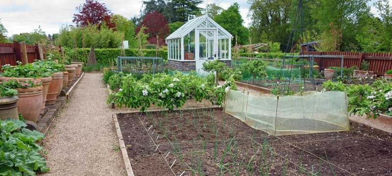 Garden with pest prevention