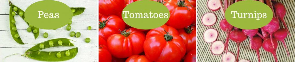 Peas, tomatoes and turnips