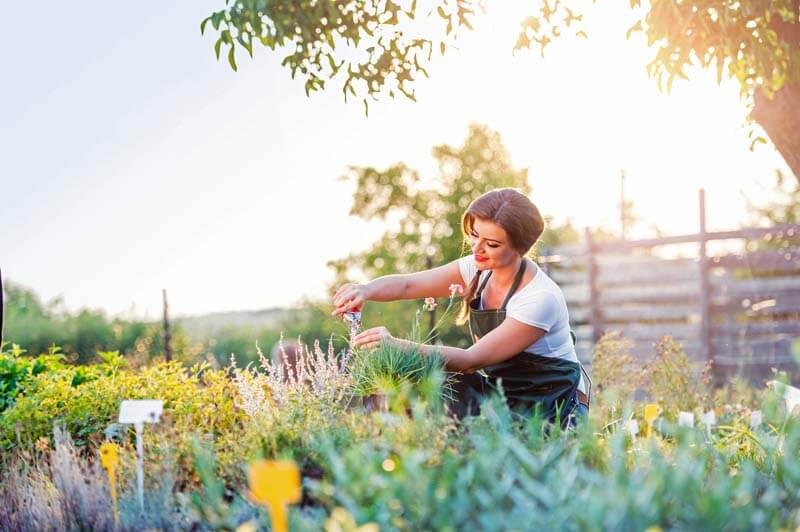 Working in the garden