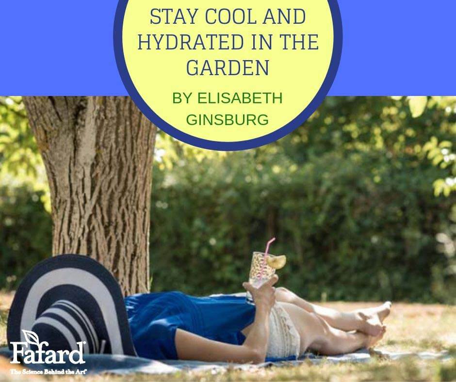 Stay Cool and Hydrated in the Garden Featured Image