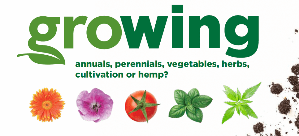 Growing annuals, perennials, vegetables, herbs, cultivation or hemp? Featured Image
