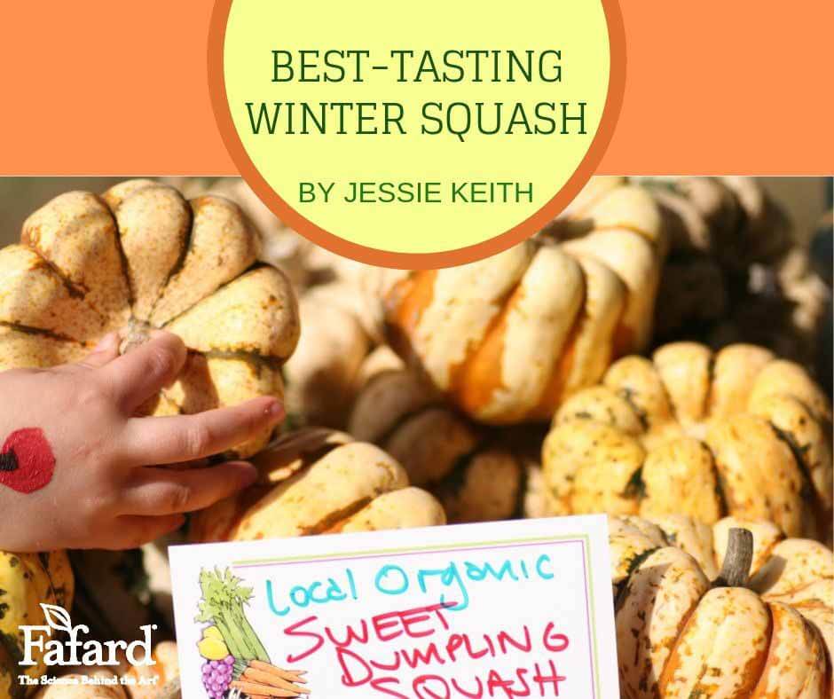 Best-Tasting Winter Squash Featured Image