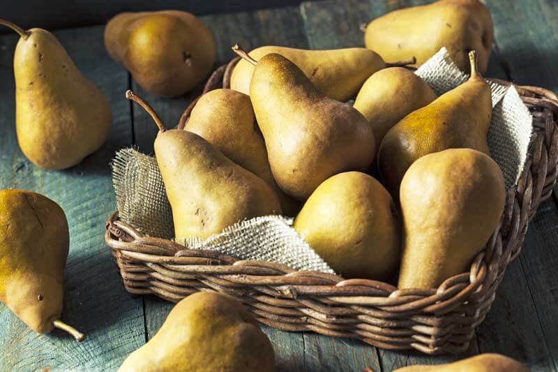 'Bosc' pears