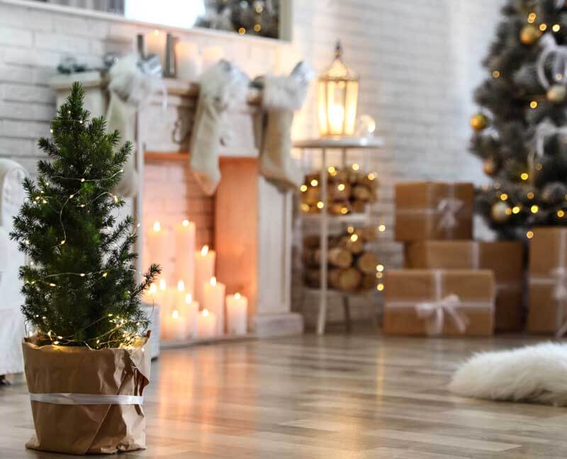 Potted Christmas tree inside a home