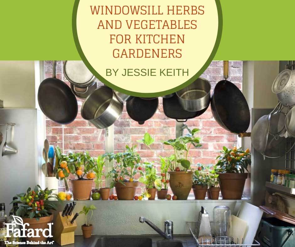 Windowsill Herbs and Vegetables for Kitchen Gardeners Featured Image