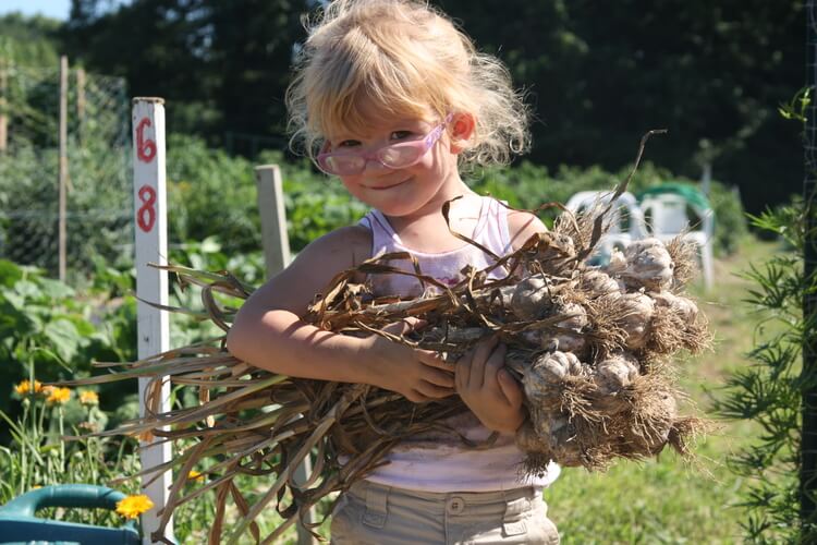 Child with garlic cloves