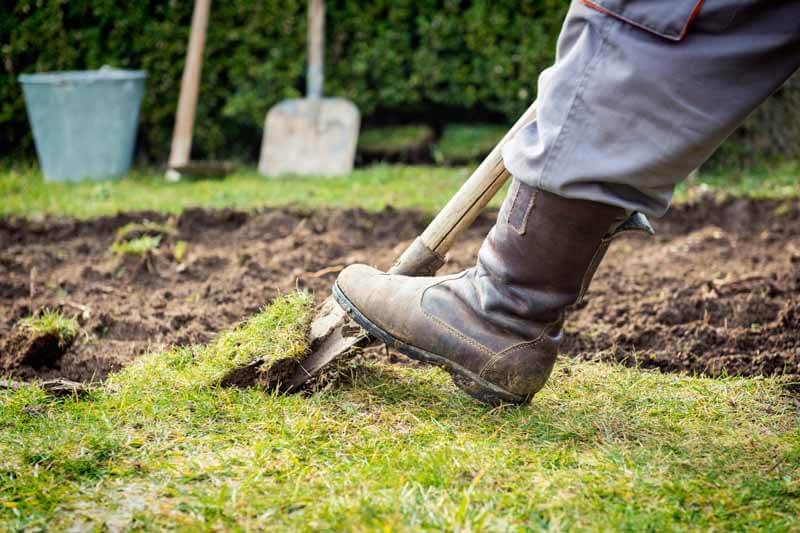 De-sodding the garden beds