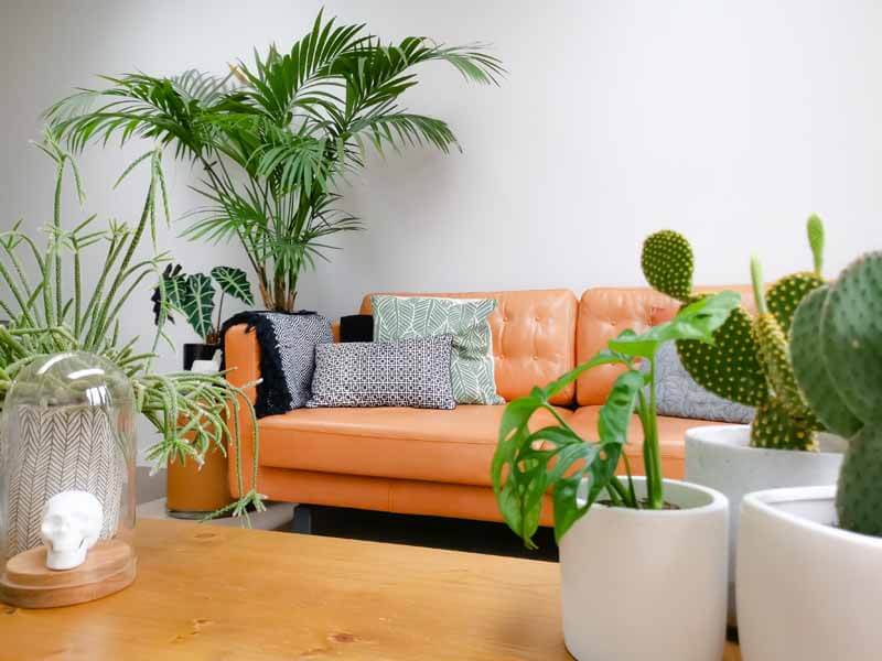 Light modern living room with brown leather couch and numerous green houseplants