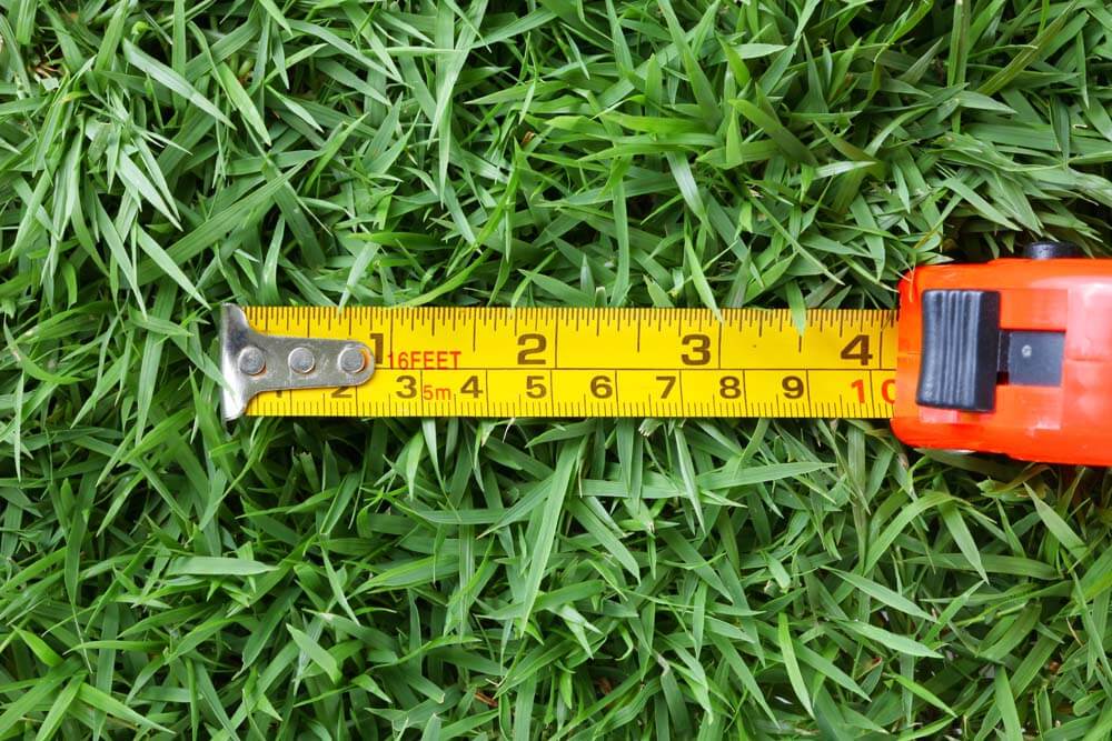 Measuring tape in grass