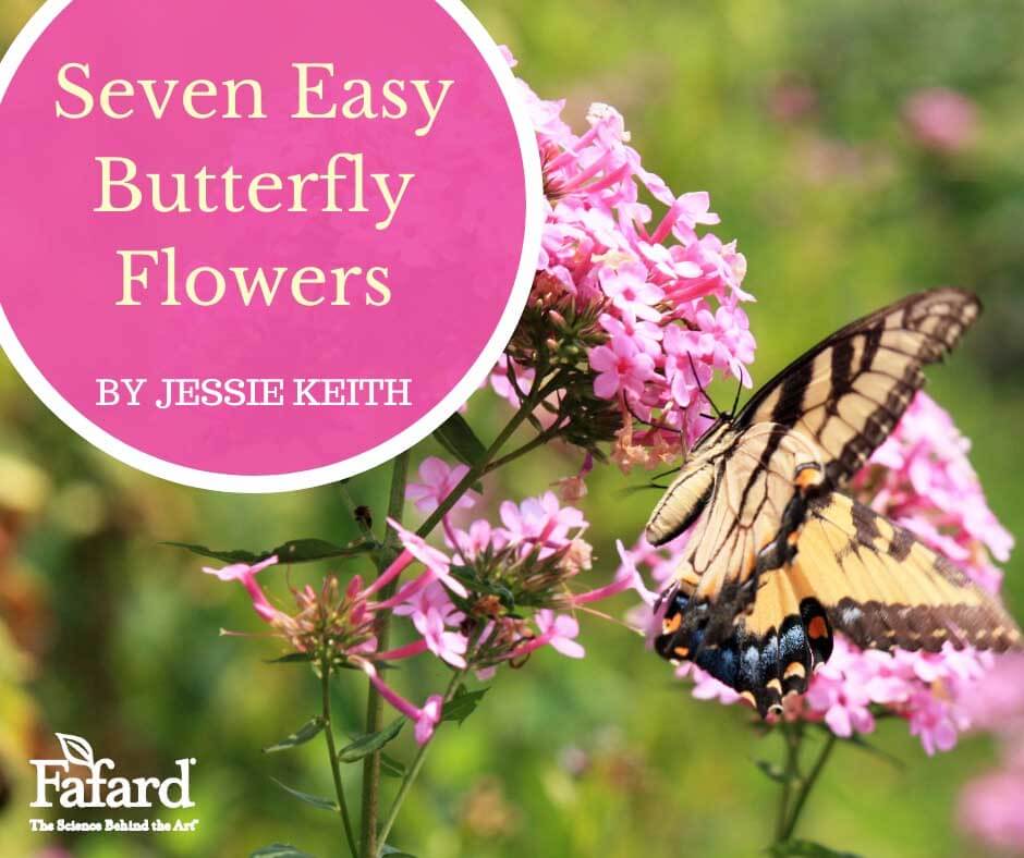 Seven Easy Butterfly Flowers Featured Image