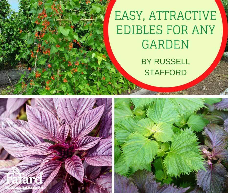 East, Attractive Edibles for Any Garden Featured Image