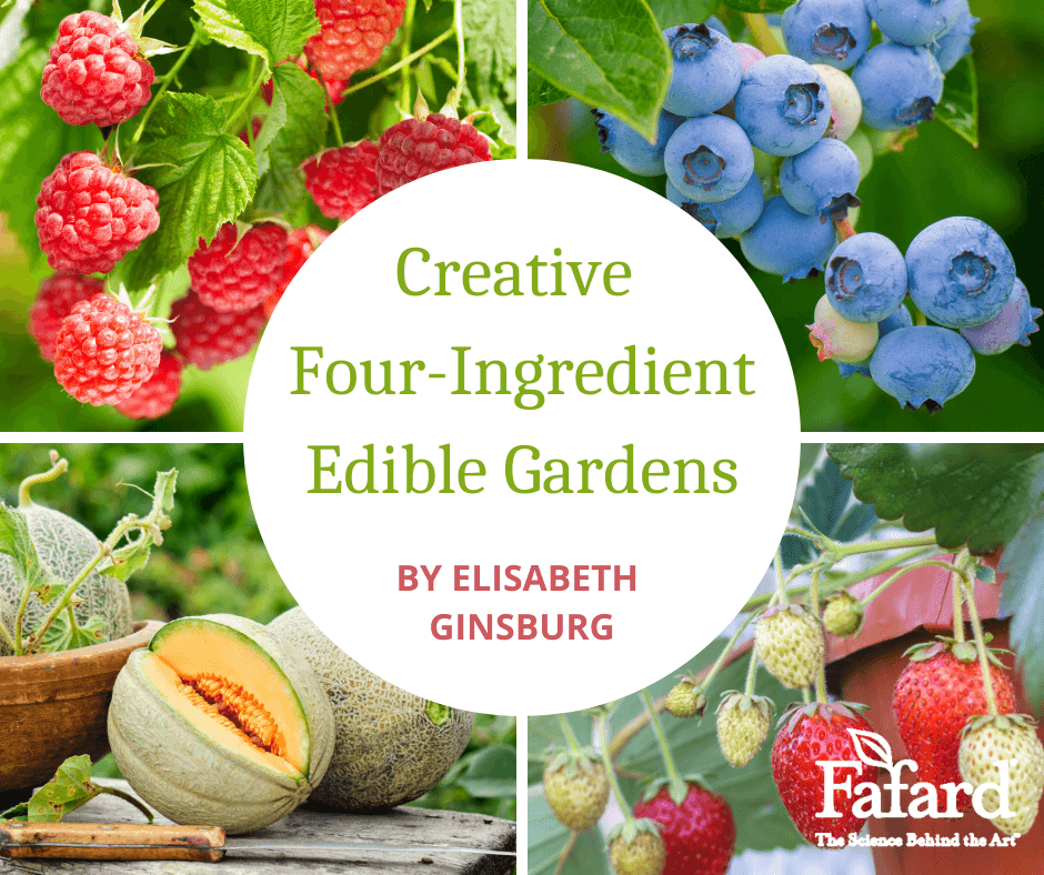 Creative Four-Ingredient Edible Gardens Featured Image