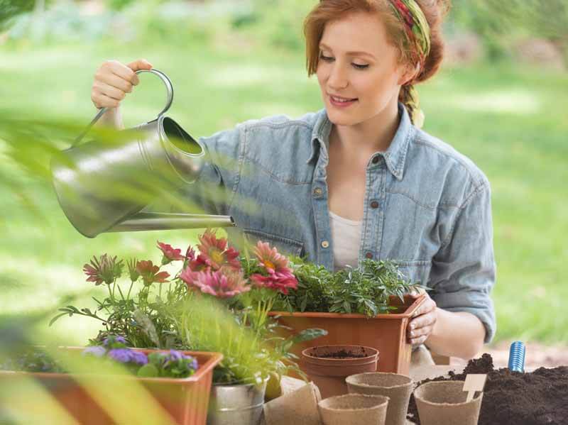 Watering plants