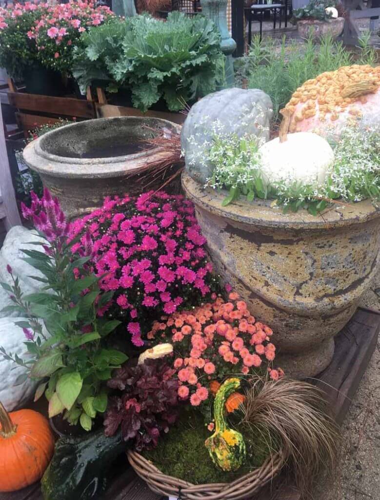 Old summer containers with fall elements and flowers