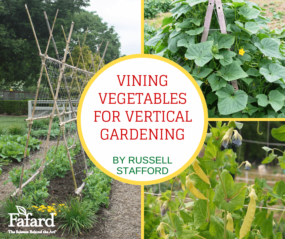 Fafard Vining Vegetables For Vertical Gardening