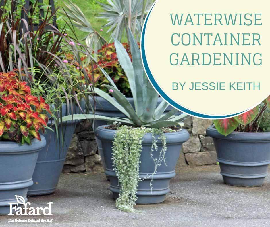 Waterwise Container Gardening Featured Image