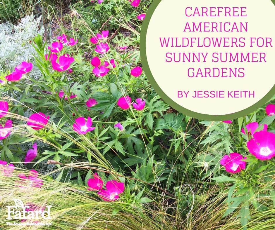 Wildflowers Falling Over: Keeping Wildflowers From Drooping In Gardens