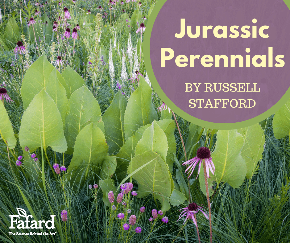 Jurassic Perennials Featured Image