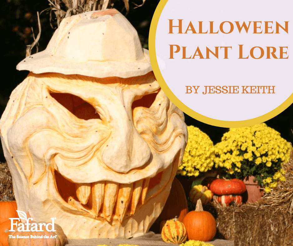 Halloween Plant Lore Featured Image