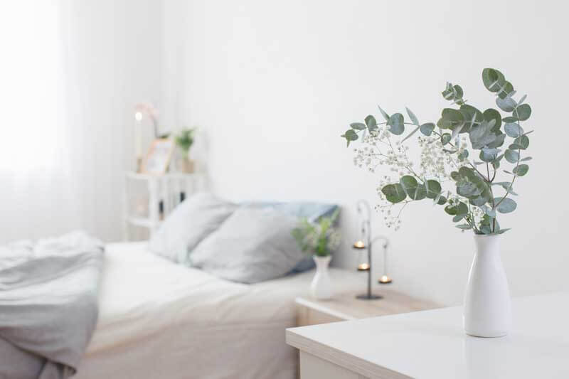 Eucalyptus in a bedroom 