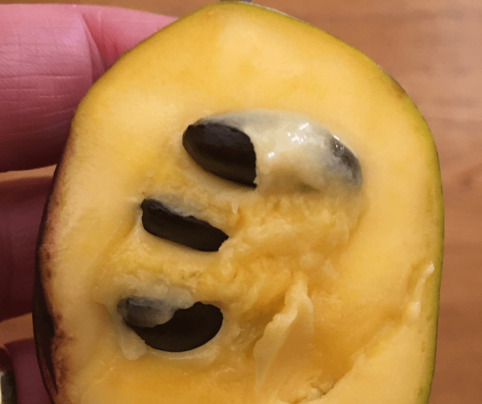 Inside Paw Paws