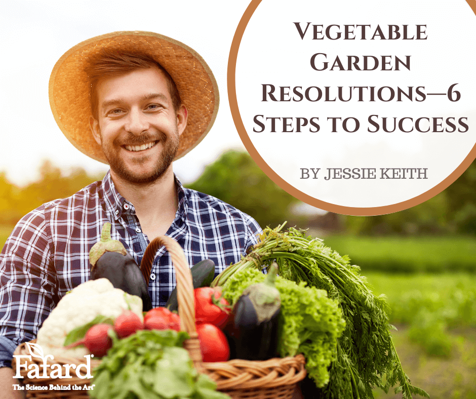 Vegetable Garden Resolutions - 6 Steps to Success Featured Image