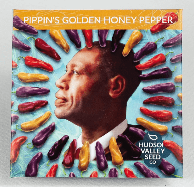 'Pippin's Golden Honey Pepper' (Image thanks to Hudson Valley Seed Co.)