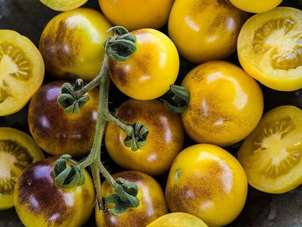 ‘Bosque Blue Bumblebee' cherry tomatoes (Image thanks to Baker Creek Heirloom Seeds)