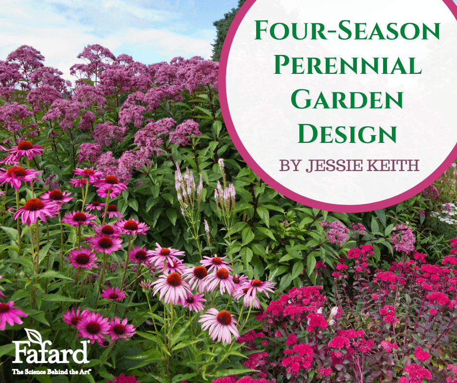 Four-Season Perennial Garden Design Featured Image