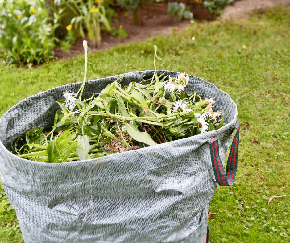 Bag of weeds