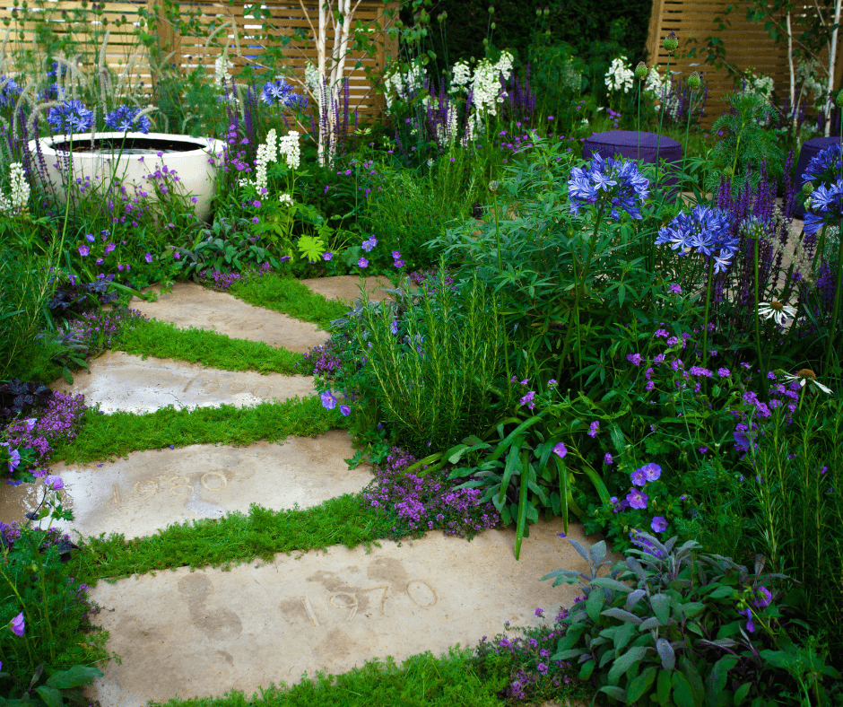 Garden Path Fillers Plants for Cracks and Crevices Fafard