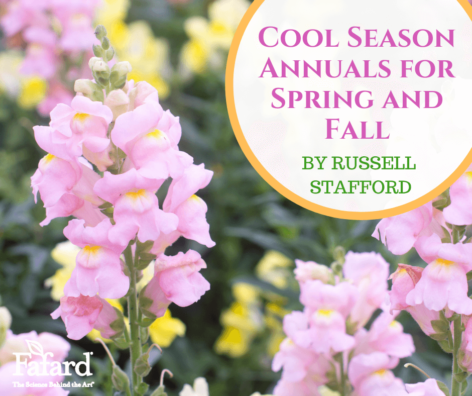 Cool Season Annuals for Spring and Fall