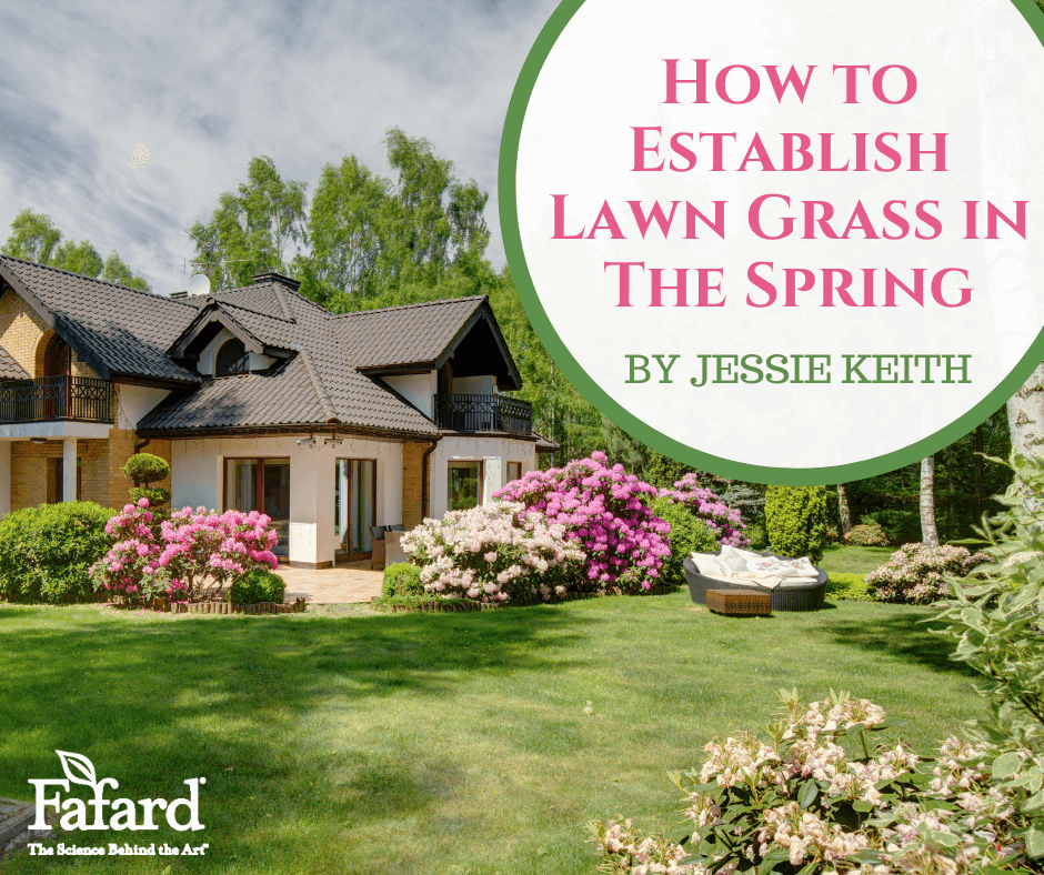 How to Establish Lawn Grass in The Spring
