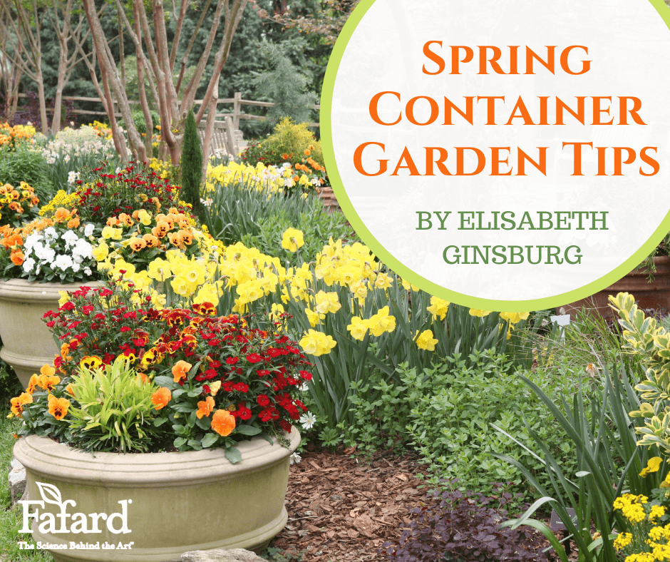 Spring Container Garden Tips