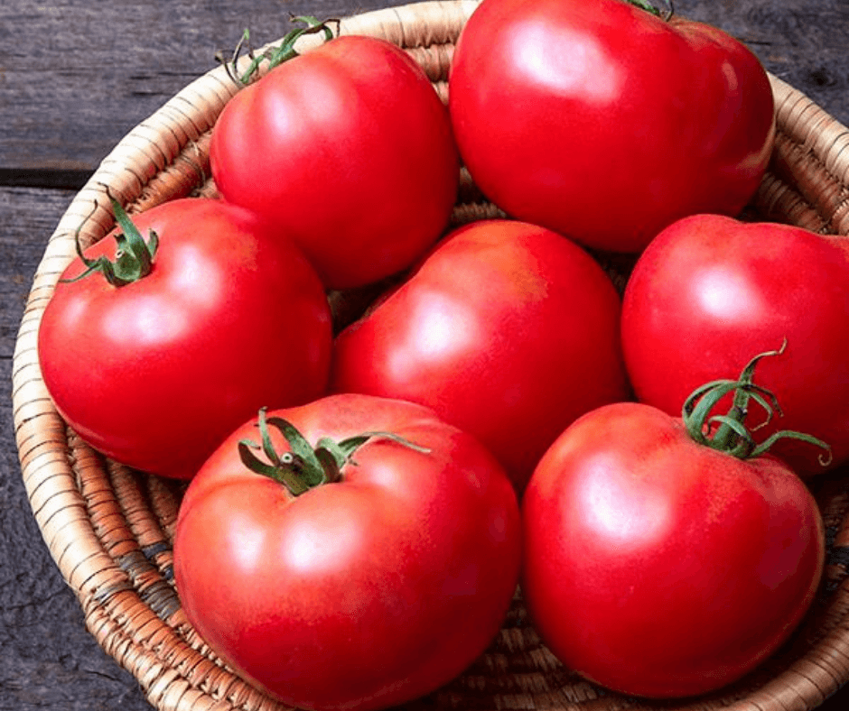 Brandywine, Pink - Slicer Tomato Seeds – The Incredible Seed Company Ltd