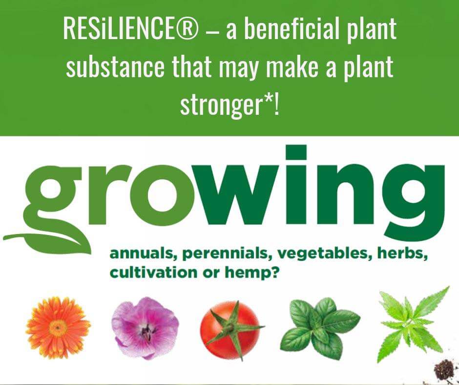 RESiLIENCE Growing annuals, perennials, vegetables, herbs, cultivation or hemp? Featured Image