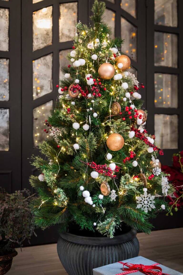 Potted Holiday Trees: Selection and Care – Fafard