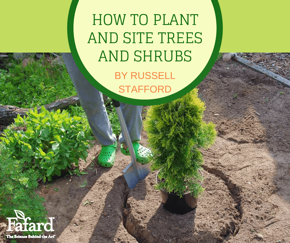 How to Plant and Site Trees and Shrubs – Fafard