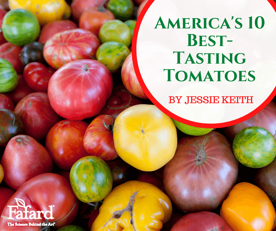 America’s 10 BestTasting Tomatoes Fafard