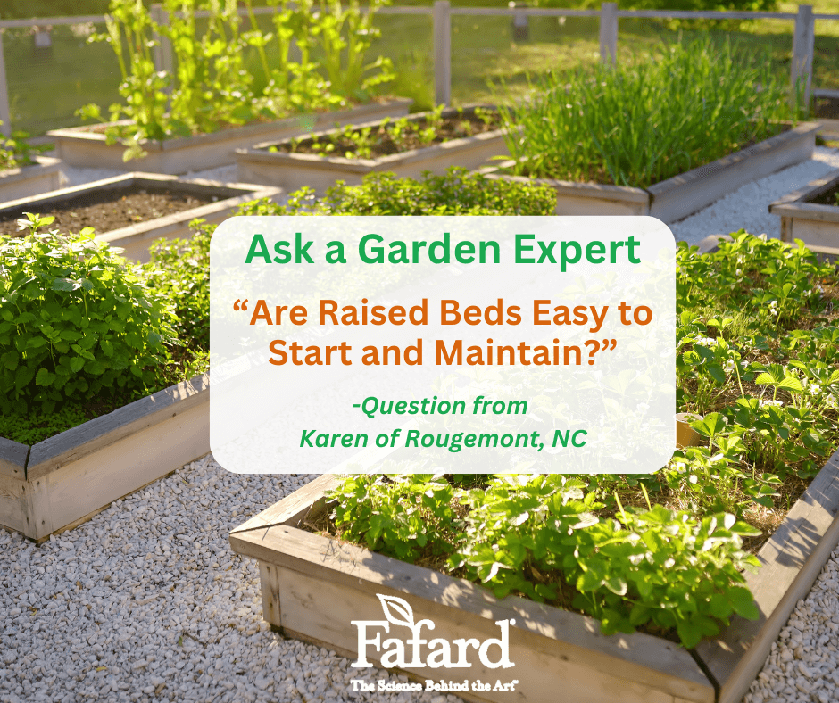 Are Raised Beds Easy to Start and Maintain?