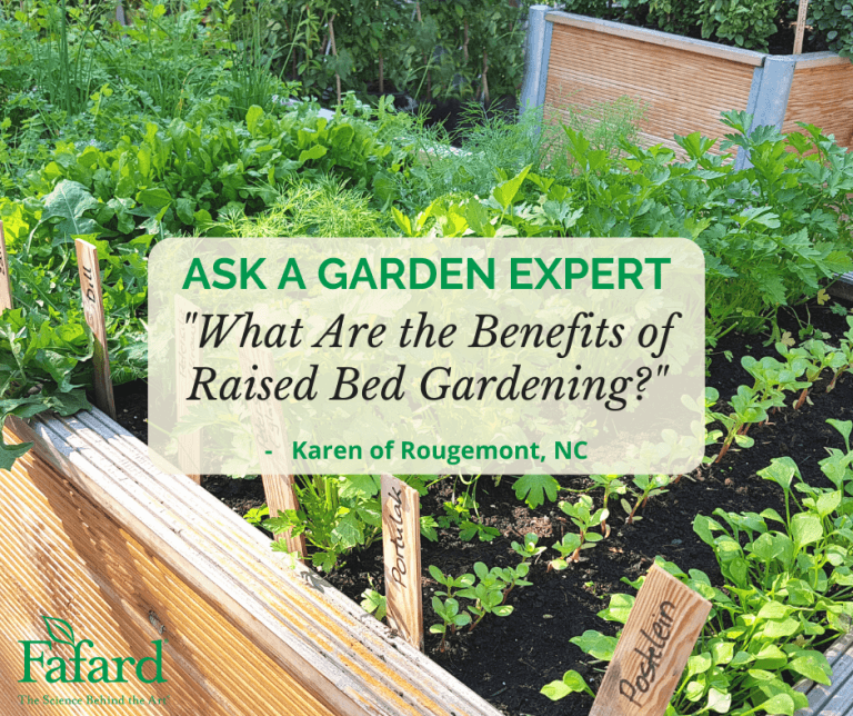 What Are the Benefits of Raised Bed Gardening? Fafard