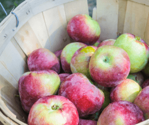 Red-fleshed: The science behind an uncommon apple breed - Fruit