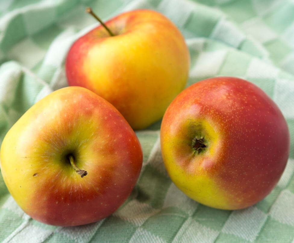 Perfect Pie Apples Fafard