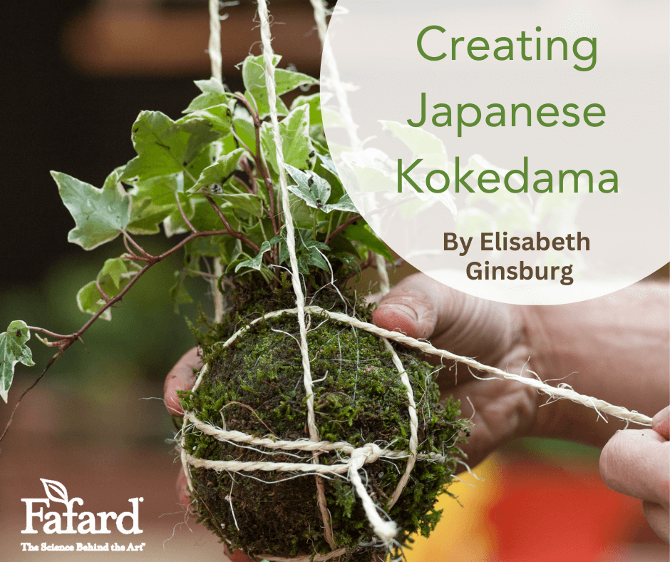 Creating Japanese Kokedama